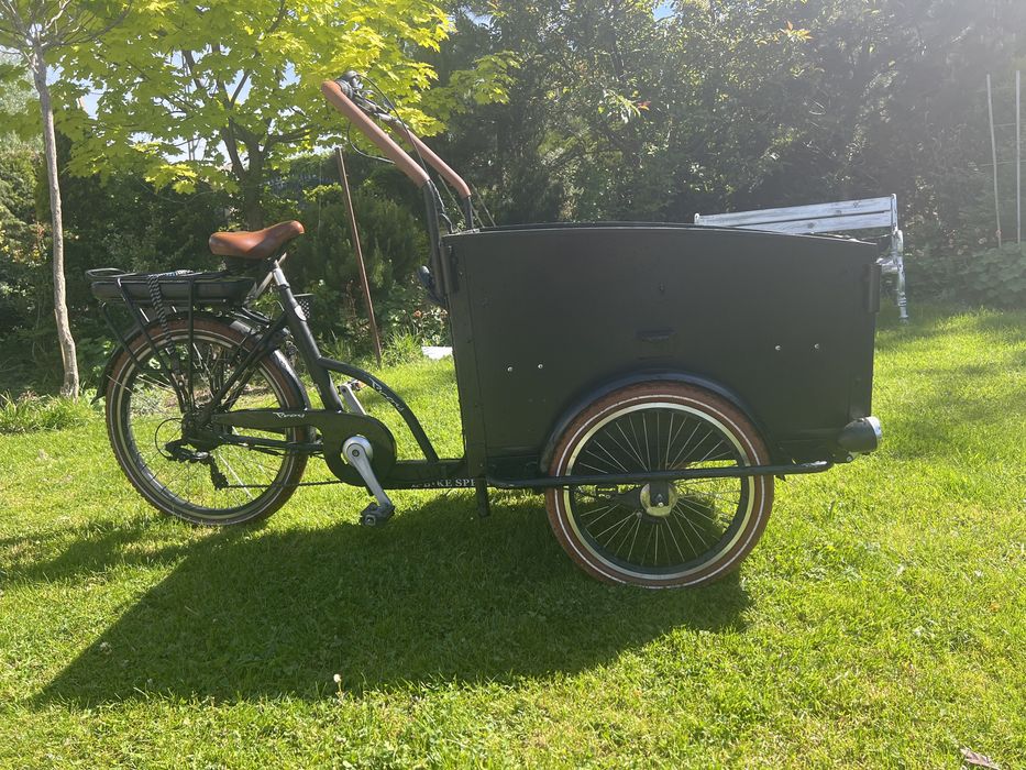 Riksza Rower eletryczny Riksza Troy Bikes