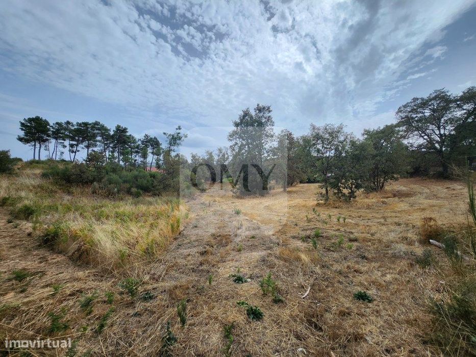 Terreno de 5.600 m2 com Viabilidade de Construção