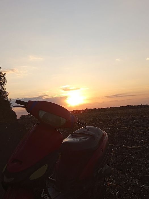 Скутер вайпер винд 80 по деталям