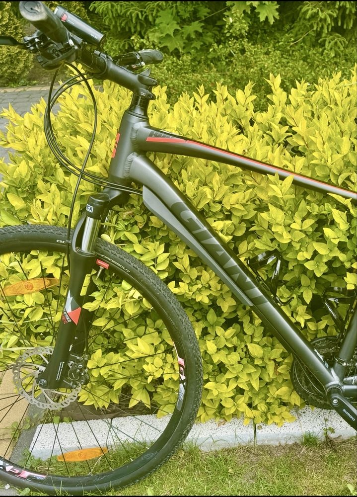 Rower Giant Roam 2 rozmiar L