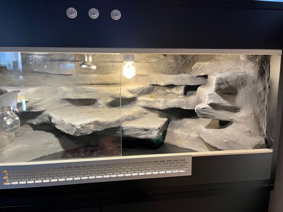 Terrarium dla jaszczurki + akcesoria