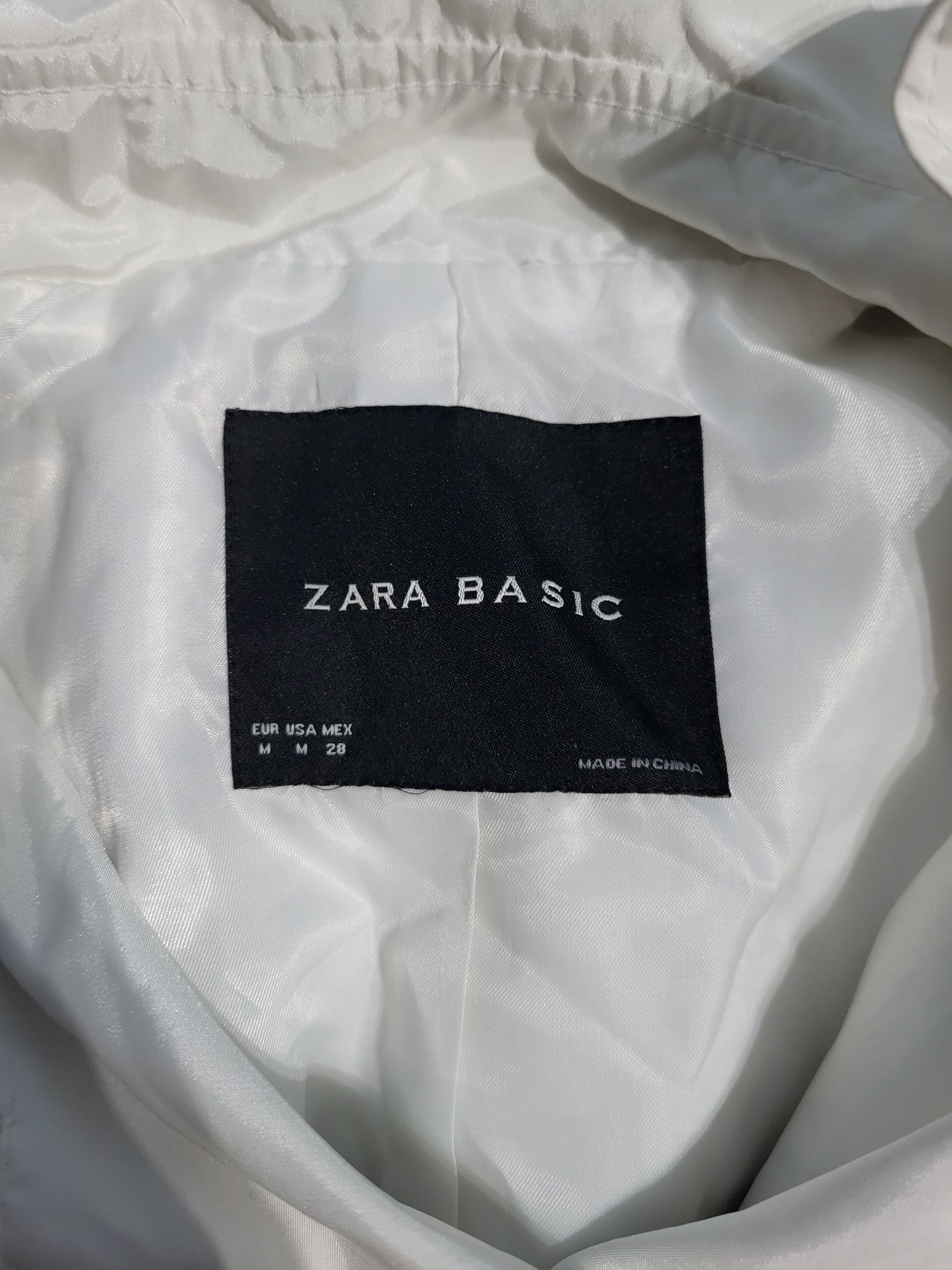 Śliczny zakiecik