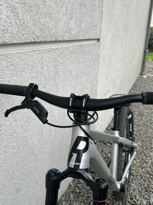 rose the bruce 2 alaudark  2024 rozmiar l srebrny