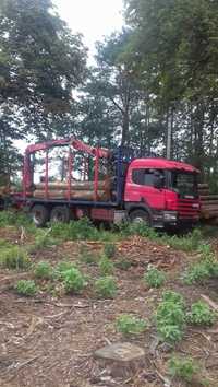 Usługi transport drewna