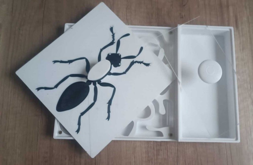 Formikarium 20x30