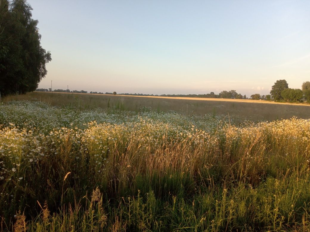 Działka rolna 3000m2