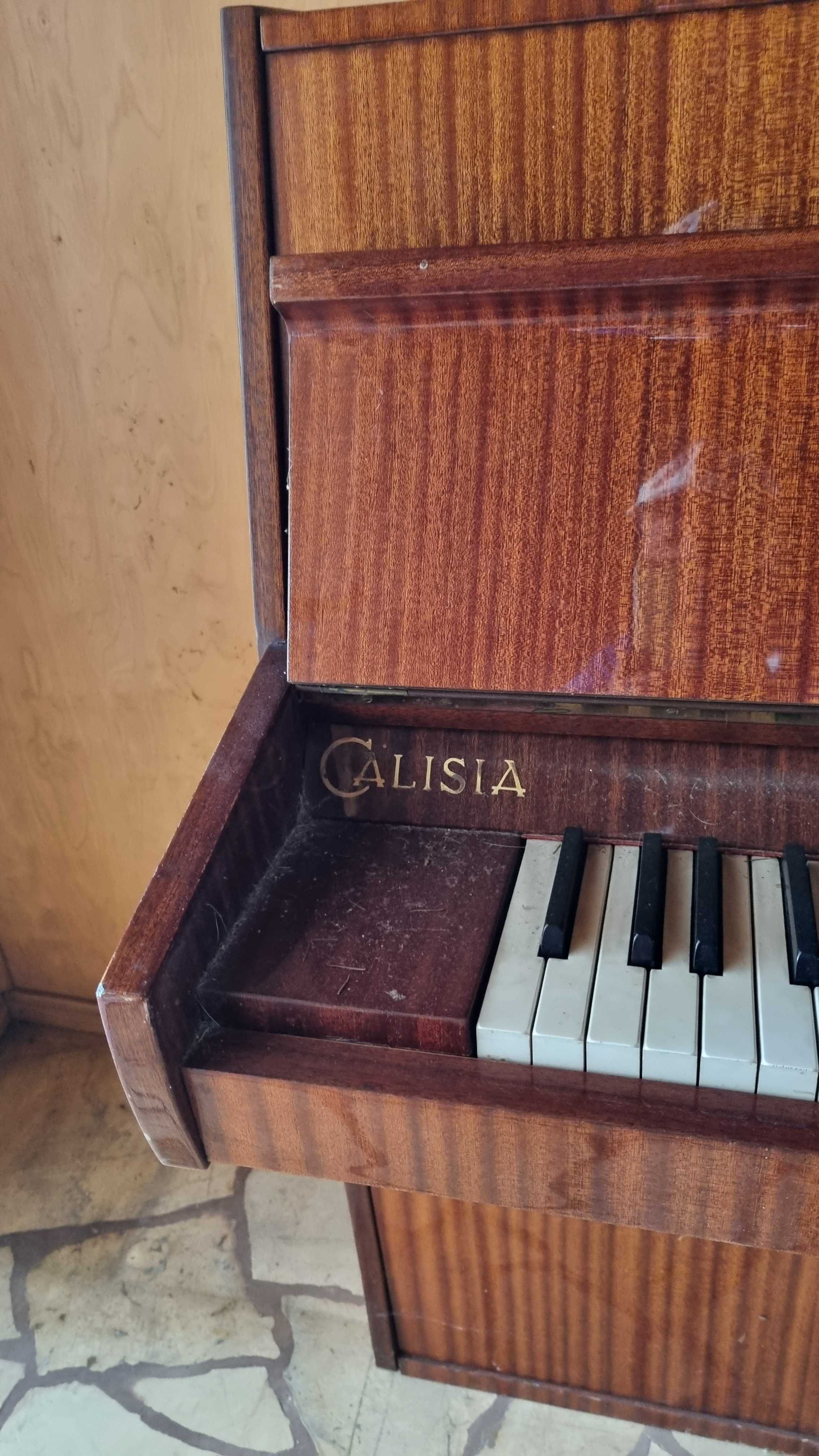 Pianino Calisia do sprzedania