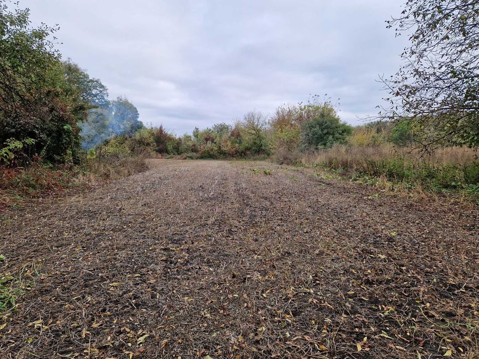 Продам дачну ділянку або здача землі в оренду.