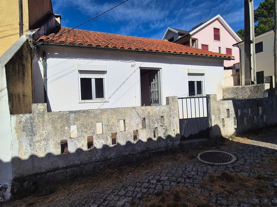 Investidores Vila Real