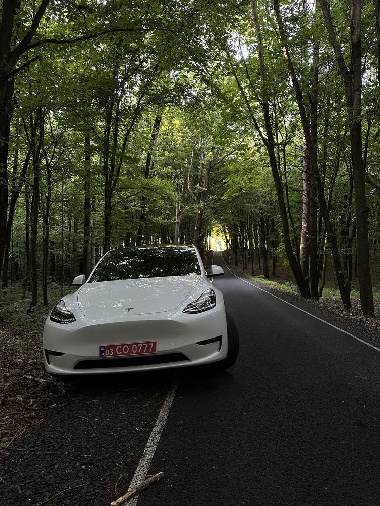 Tesla model Y 2020