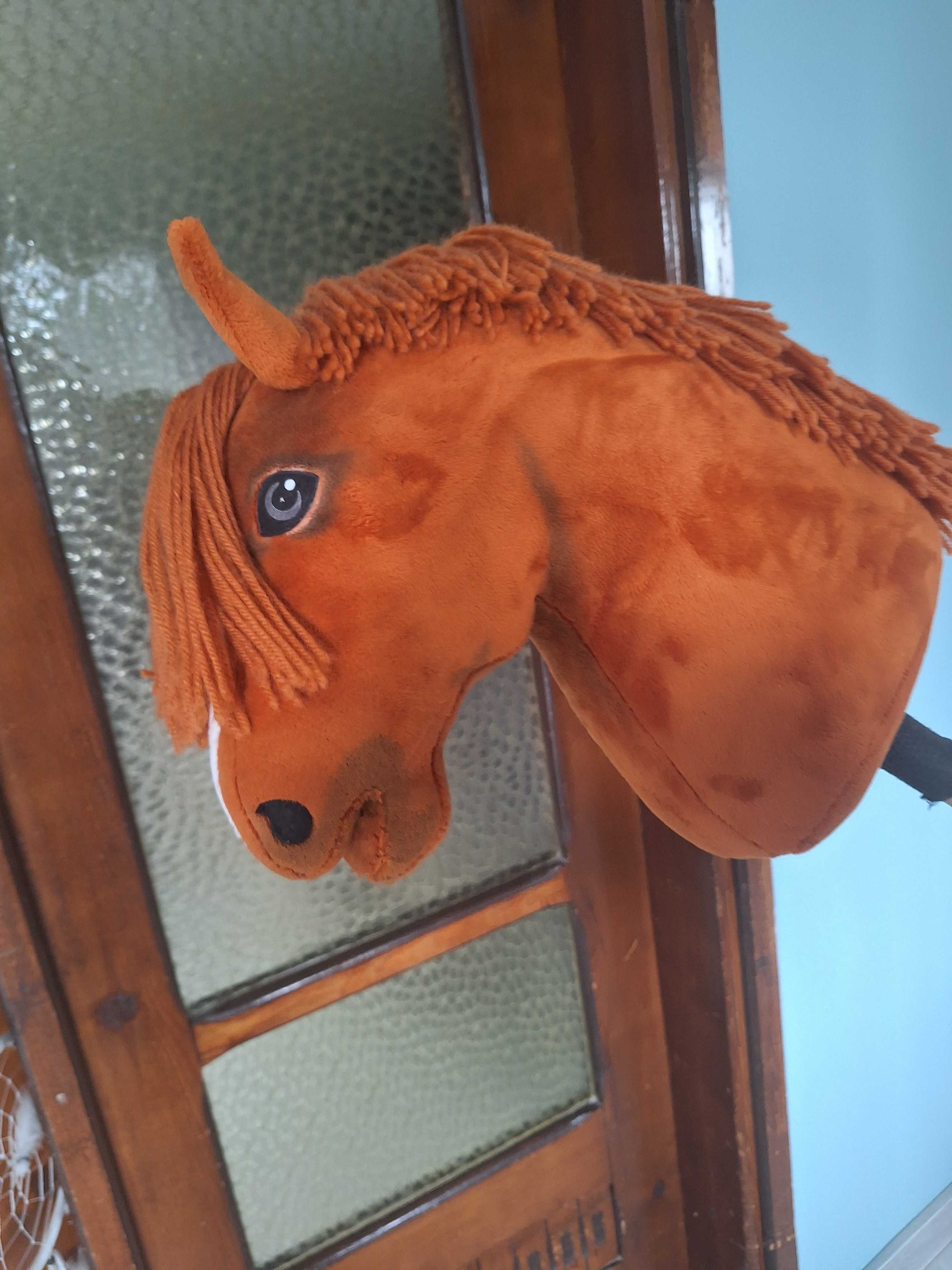 Hobby horse A3 rudy
