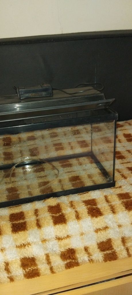 Vendo aquario de 30 litros 50×28×28 com lampada de urigem t5 30 euros