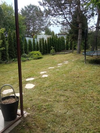 Sprzedam/ odstąpię Ogródek działkowy