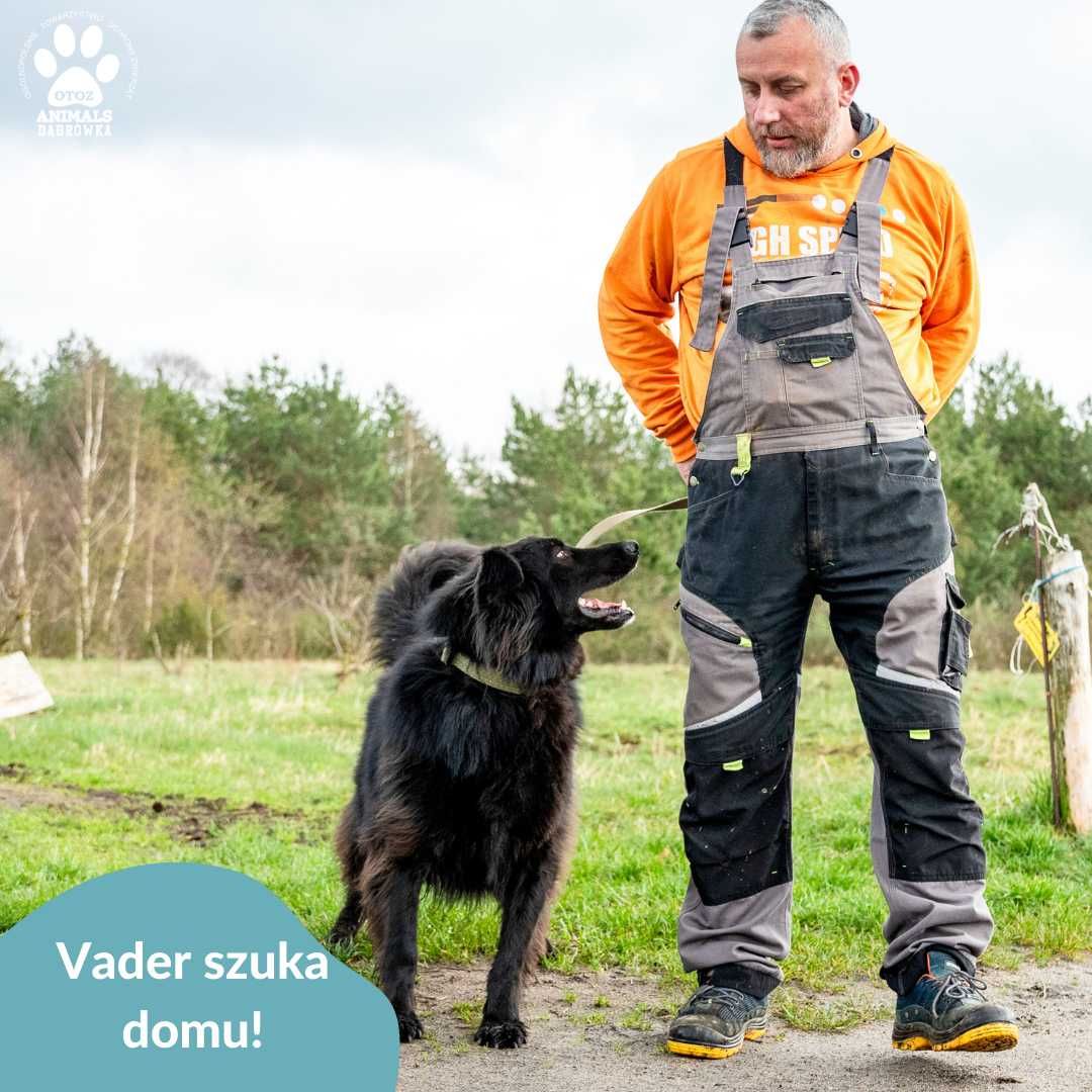 Vader szuka kochającej rodziny!