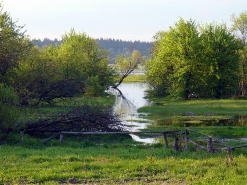 Продам ділянку 25 соток