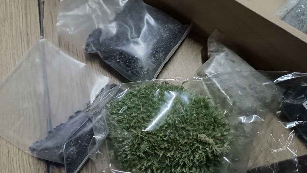 Las w słoiku - zestaw do samodzielnego przygotowania