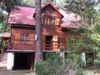 Wilga Drewniany dom w lesie