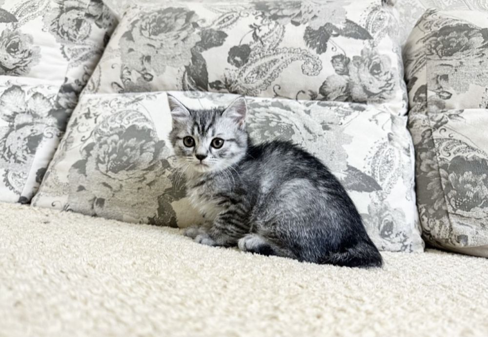 Мечты должны сбываться!