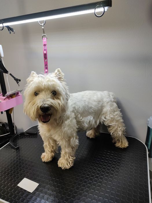 Шукаю моделей для створення портфоліо