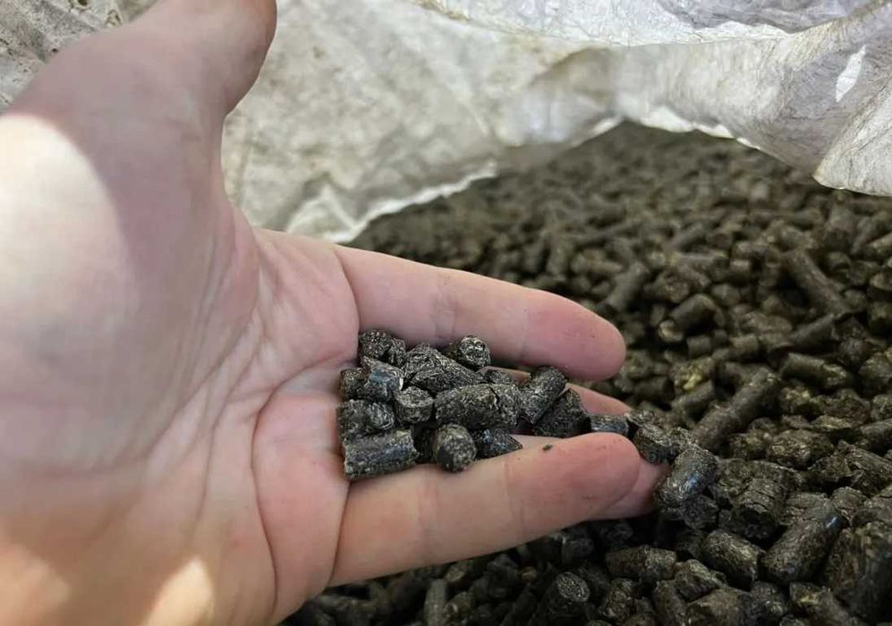 Pellet z łuski słonecznika