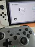Pad nintendo switch