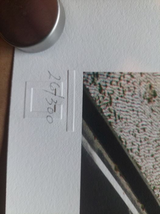 Serigrafia Vhils Predominate