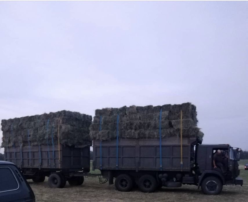 ДЕКОР  2025р. СІНО в тюках від 1 шт. ДЕКОР.  ДОСТАВКА