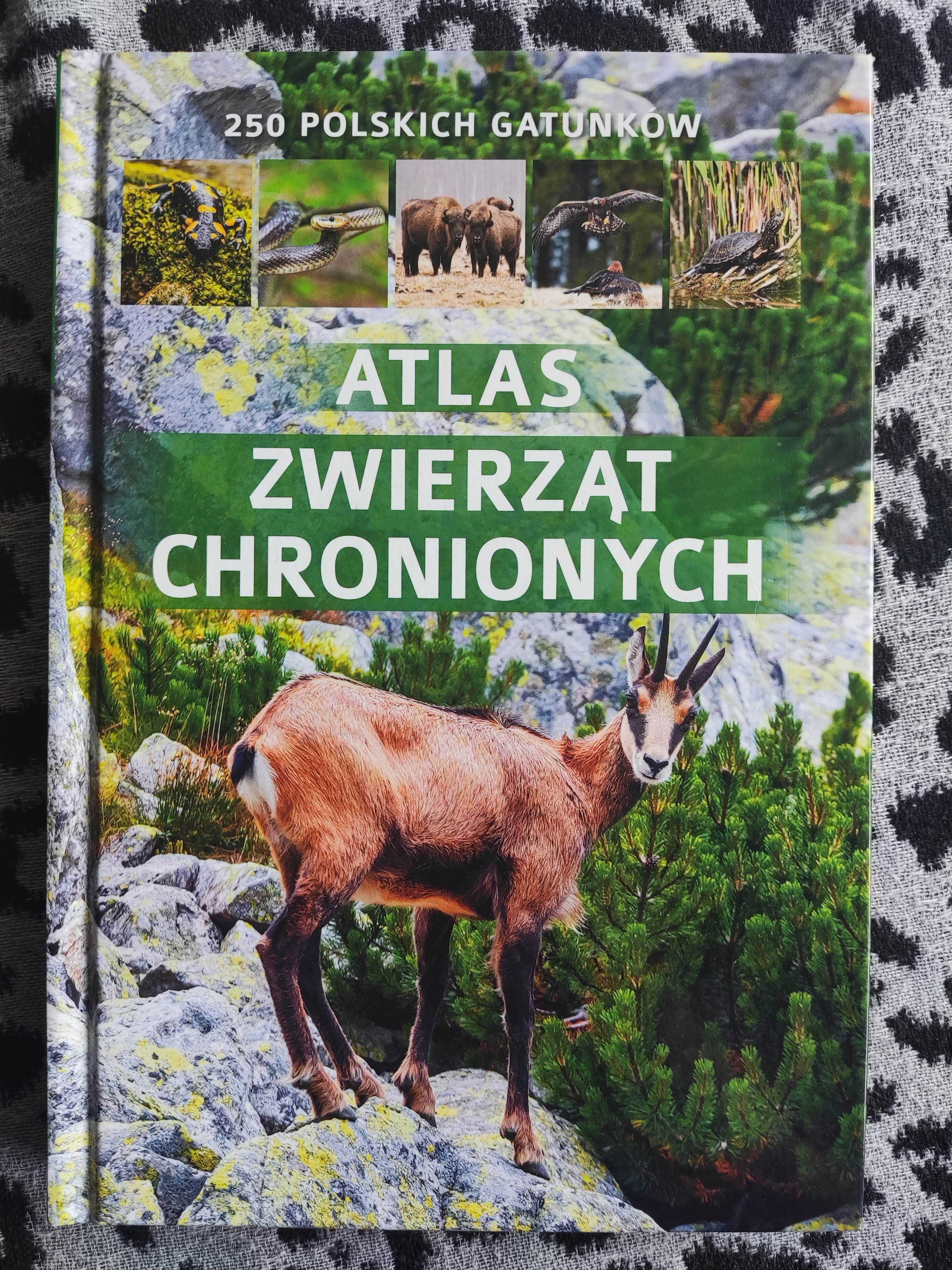 "Atlas zwierząt chronionych". 250 gatunków.