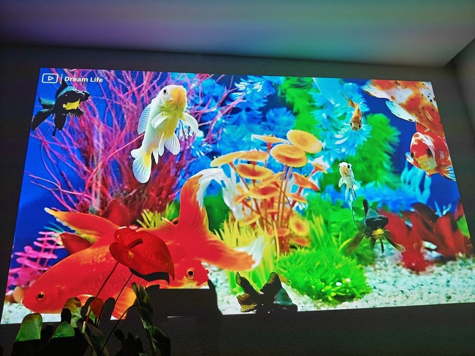 Projektor Optoma HD151X DLP 3D