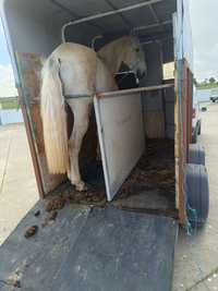 Vendo reboque de 2 cavalos  não tem documentos ou troco