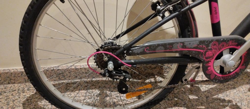 Bicicleta roda 24