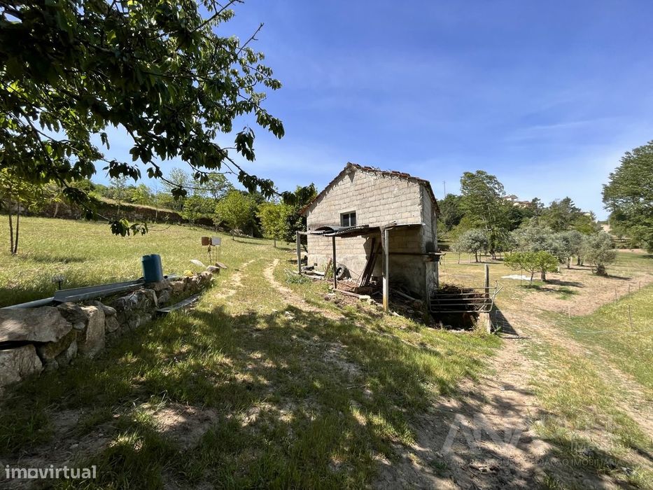 Quinta  Venda em São Miguel do Mato,Vouzela