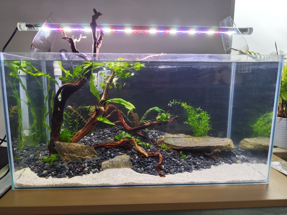 Zestaw akwarium 54L filtr kubełkowy FLUVAL