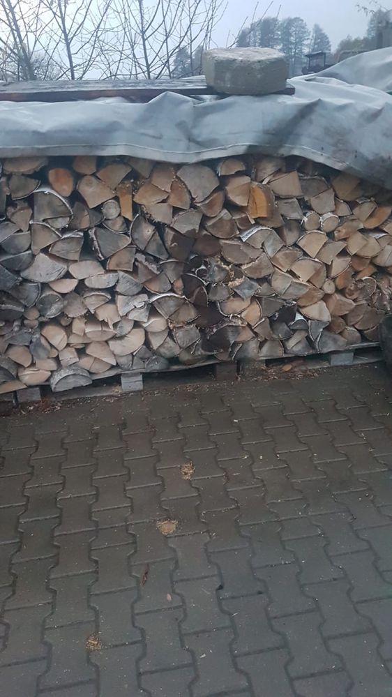 Drewno opałowe Olcha