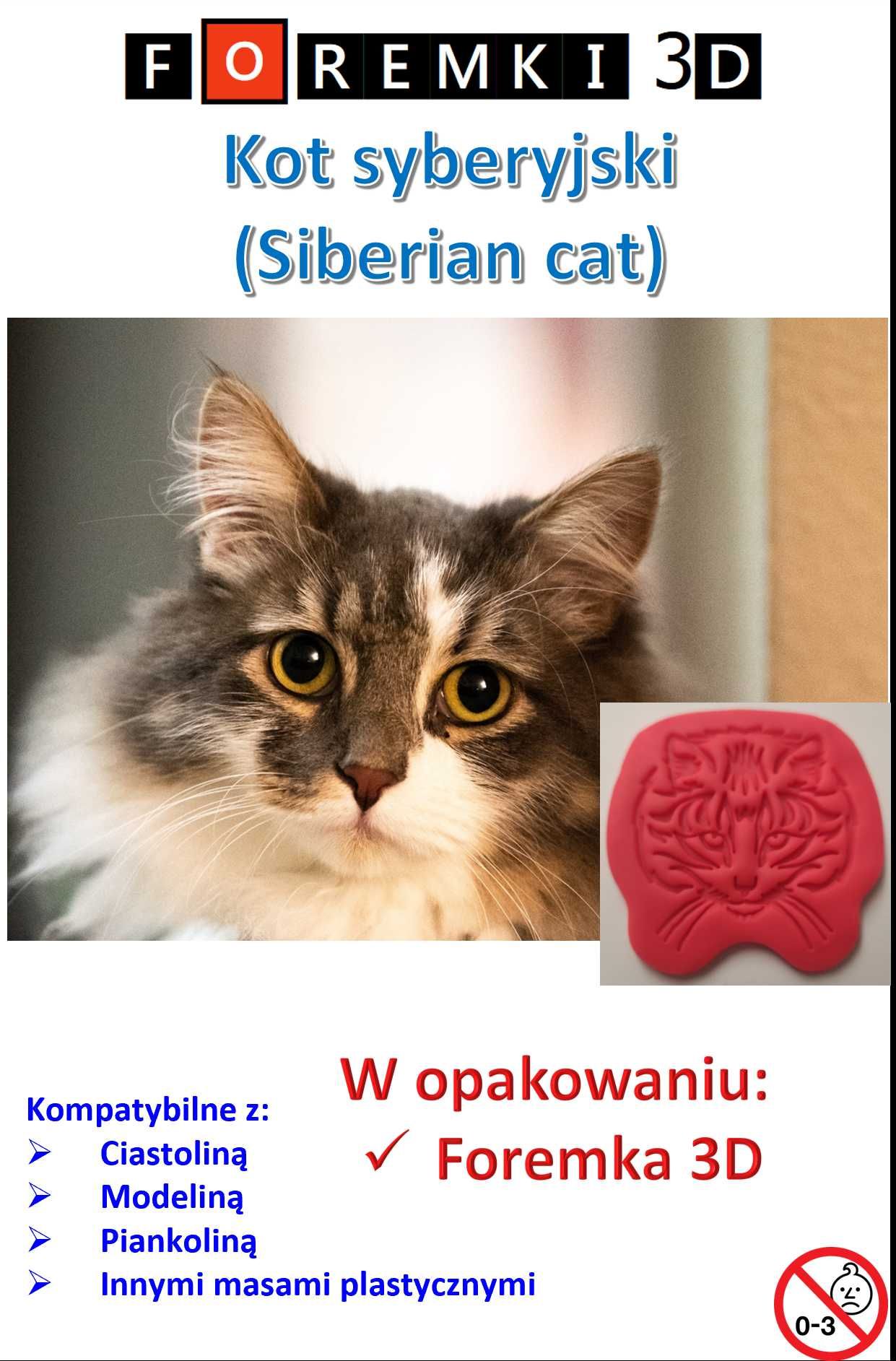 Foremka 3D w kształcie Kot syberyjski (Siberian cat)