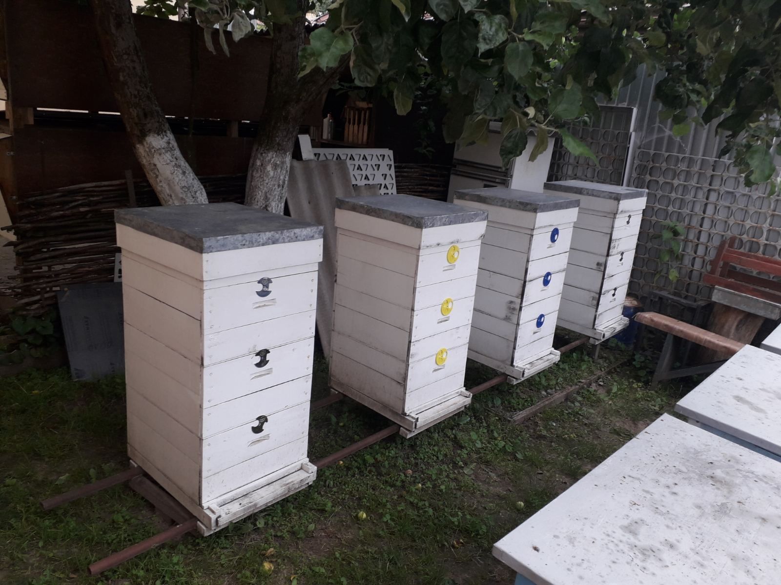 Продаем улики пчелы