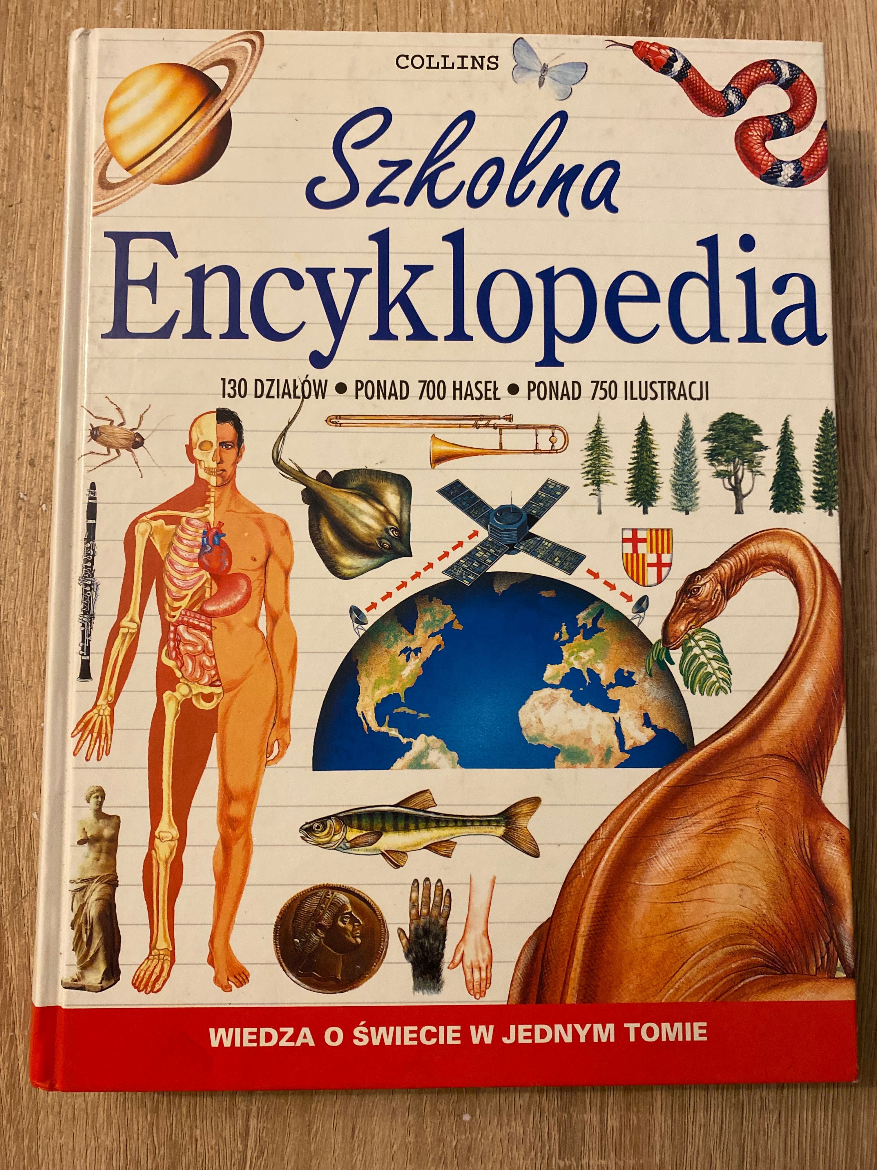 Szkolna Encyklopedia w jednym tomie