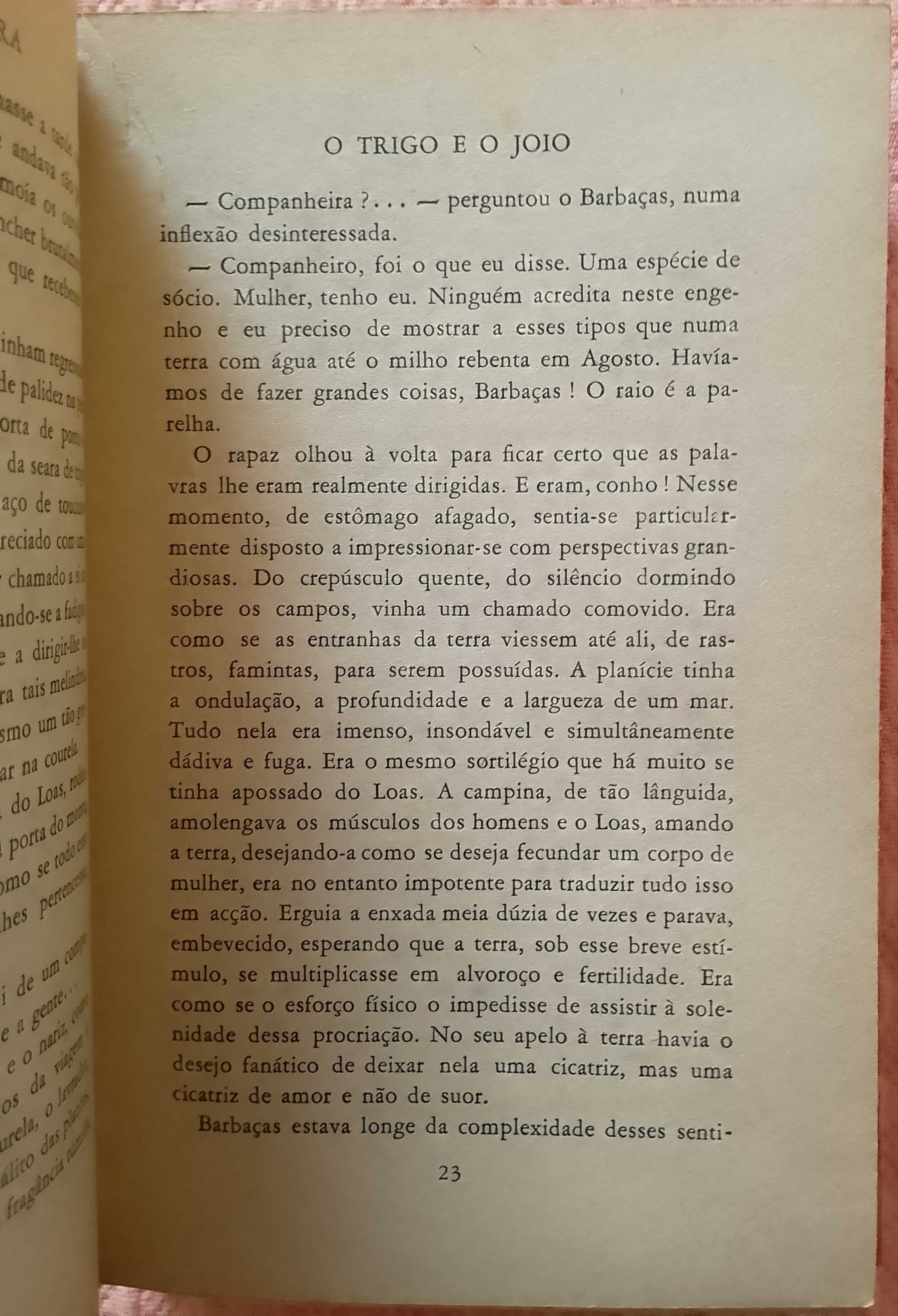 O trigo e o joio, Fernando Namora