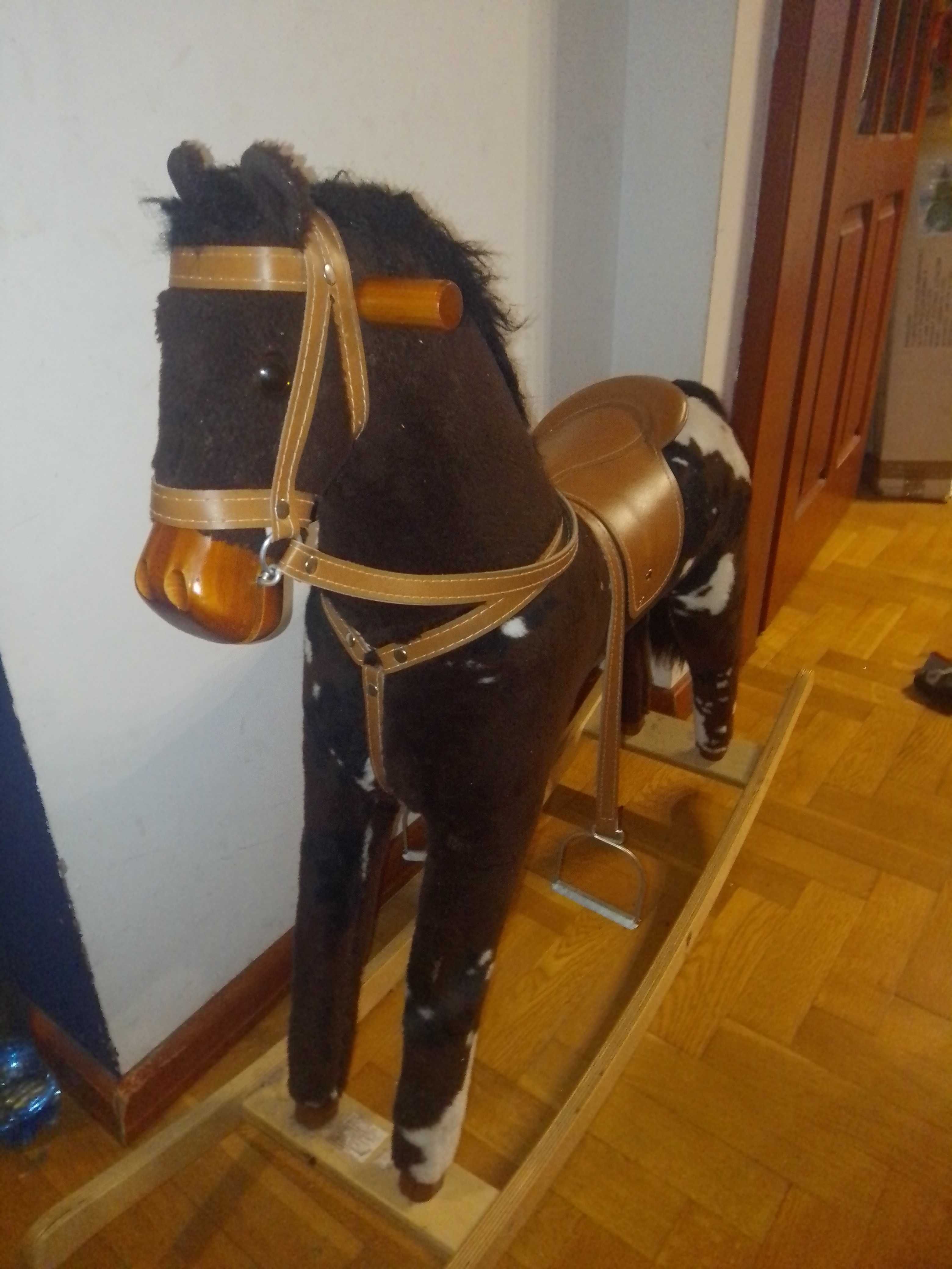 Koń na biegunach duzy