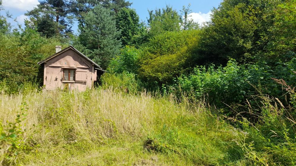 Дача в Дережичах 6сотих