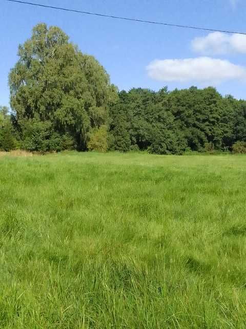 Działka nad jeziorem Jeziorak 30 arów