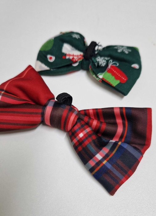 Conjunto de laços para cão