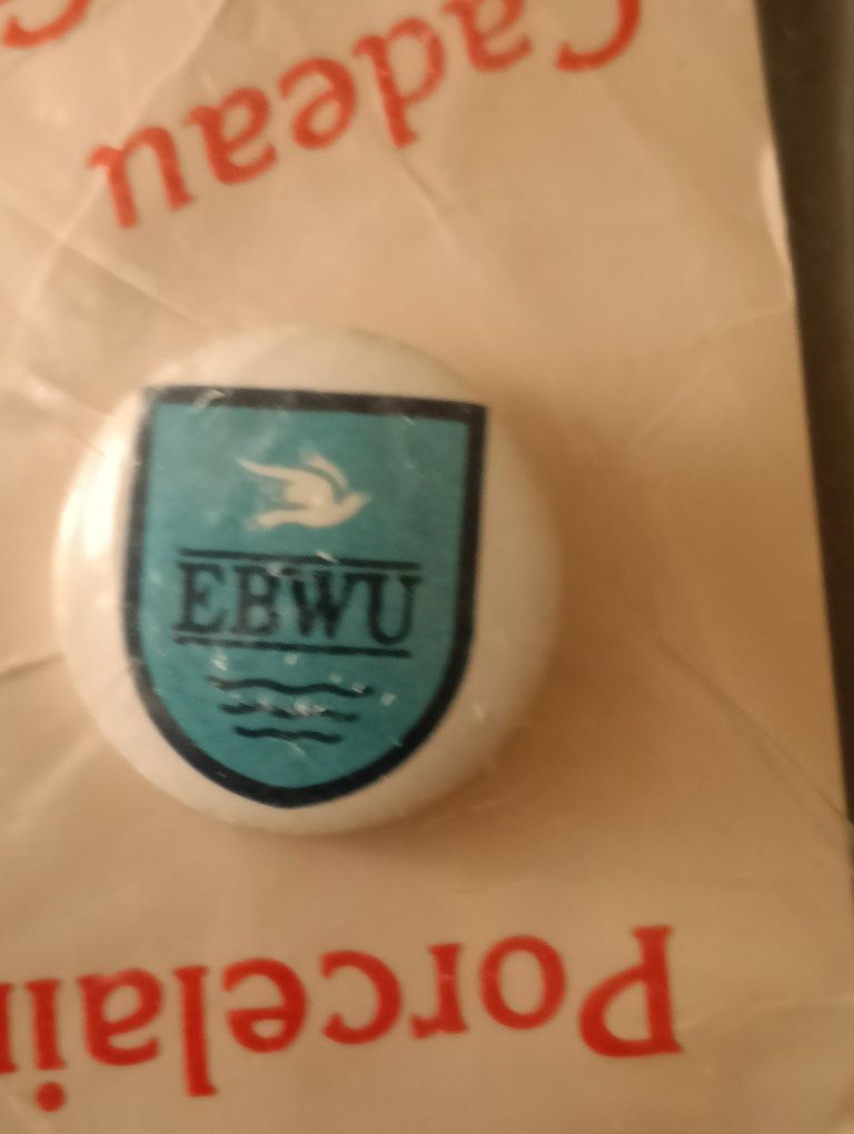 PIN colecionável,na embalagem