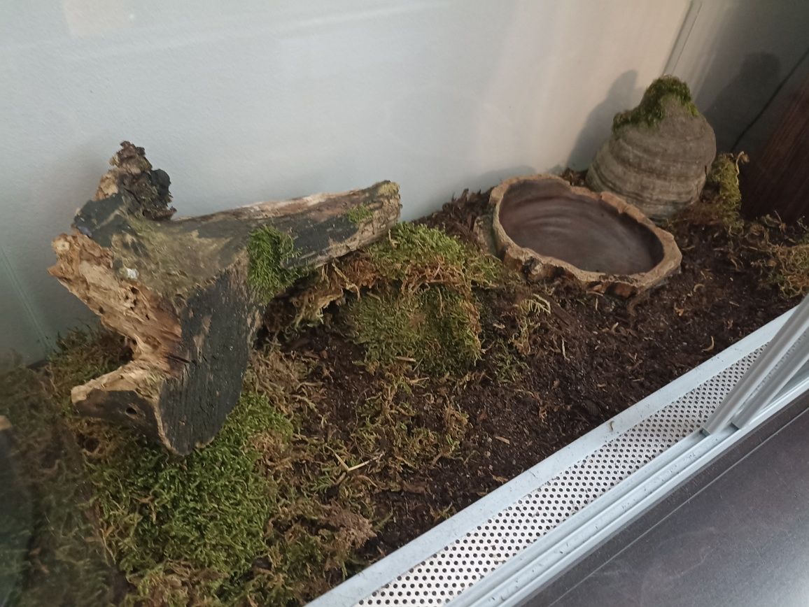 Terrarium z pełnym wyposażeniem, nowe