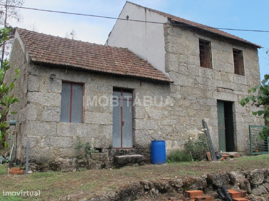 Quinta de Mirtilos com mais de 3 Hectares, localizada perto de Tondela