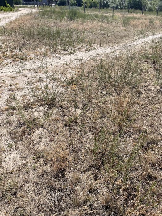 Продам участок 1км до курортного района Пуща Водица  рядом- лес,озеро!