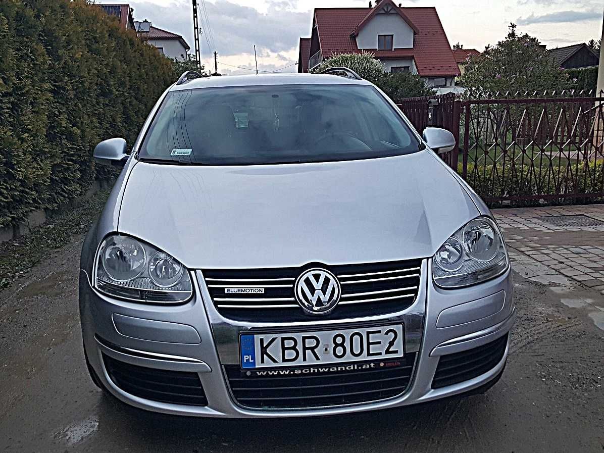 Volkswagen Golf 2008 rok 1.9 TDI