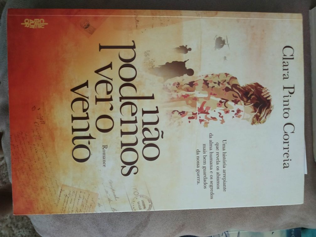 Livro Clara Pinto Correia Não podemos ver o vento