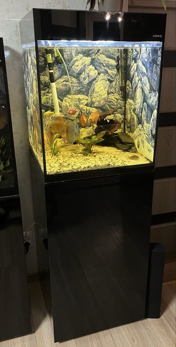 Akwarium AQUAEL 125l