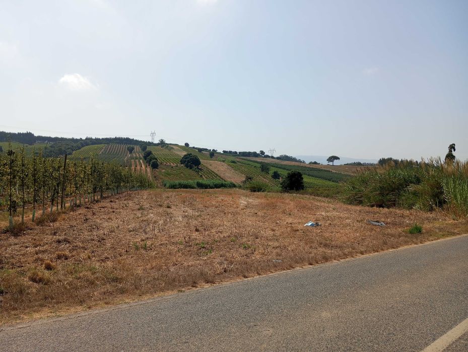 Terreno agrícola